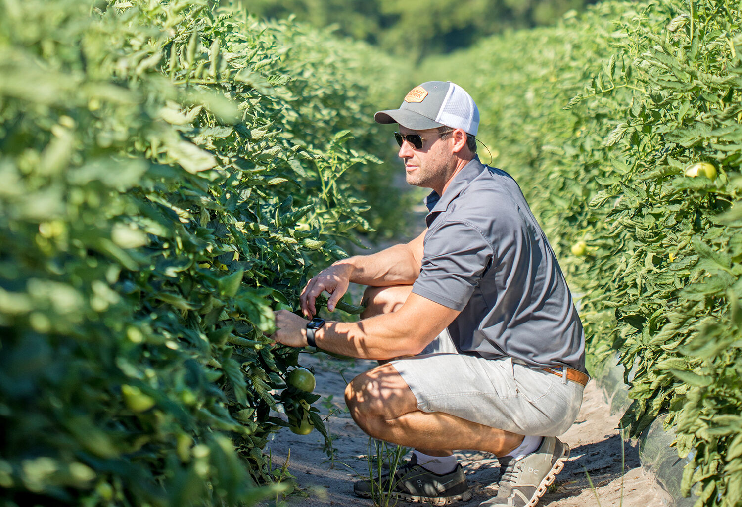 Ross in field